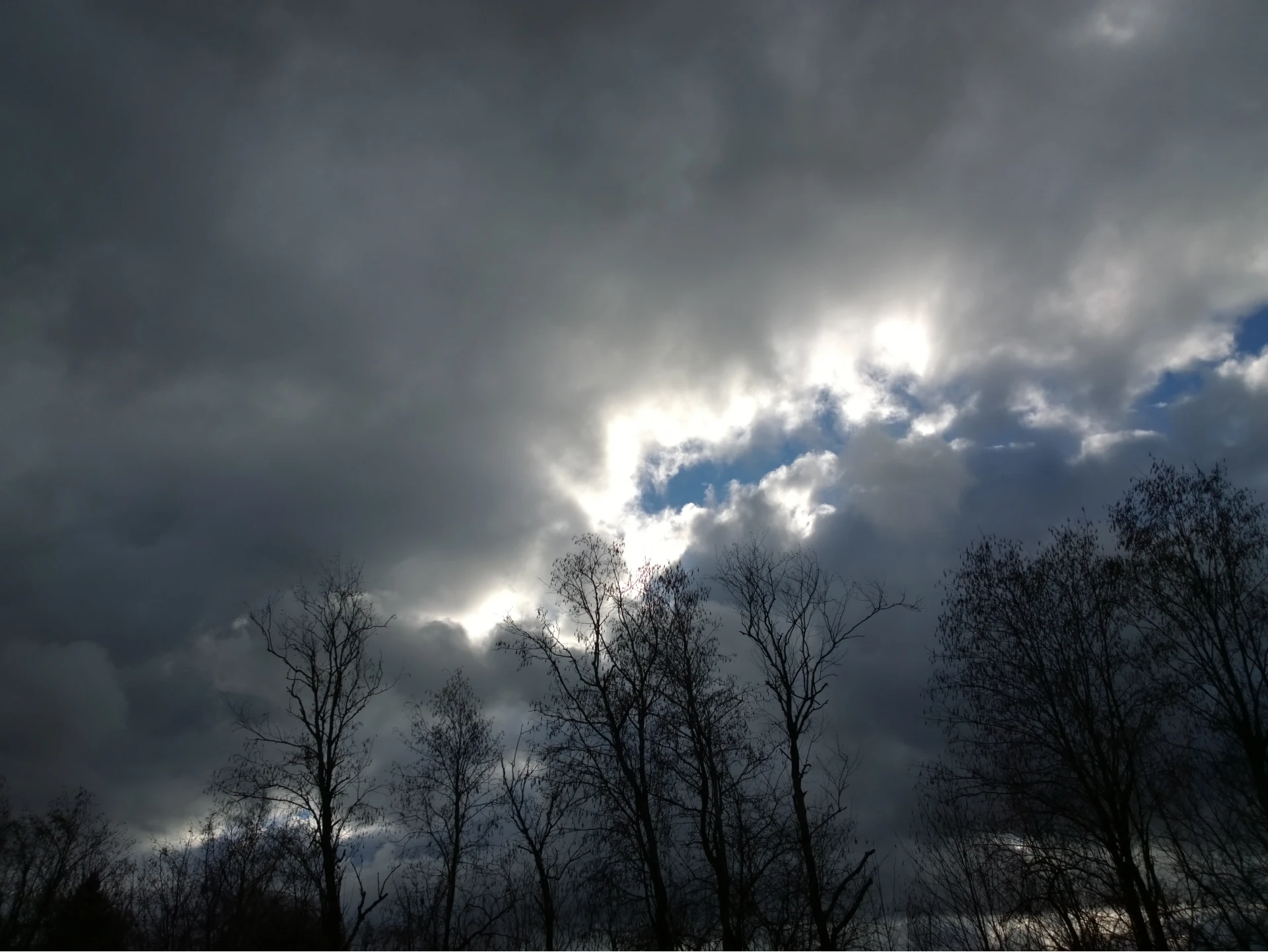 Taken on Nokia Lumia 1020